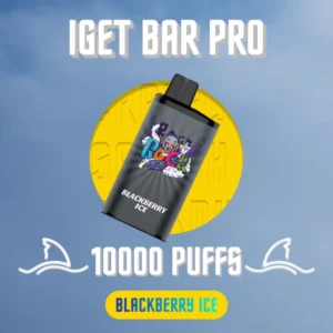 IGET Bar Pro Blackberry Ice