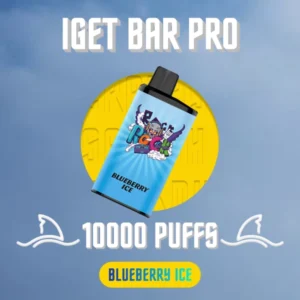 IGET Bar Pro Blueberry Ice