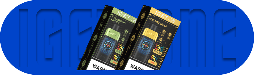 IGET One 12000 Puffs Bulk