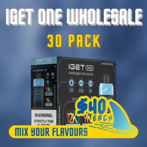 IGET One Wholesale 30 Pack