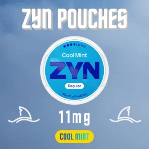 ZYN Pouches Cool Mint 11mg