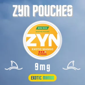 ZYN Pouches Exotic Mango 9mg