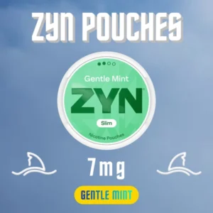ZYN Pouches Gentle Mint 7mg